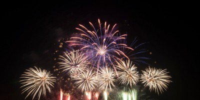 Editorial Efigie. El mejor precio en llibrets de fallas